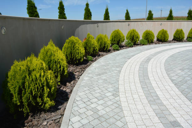 Driveway Repair Near Me in Calexico, CA